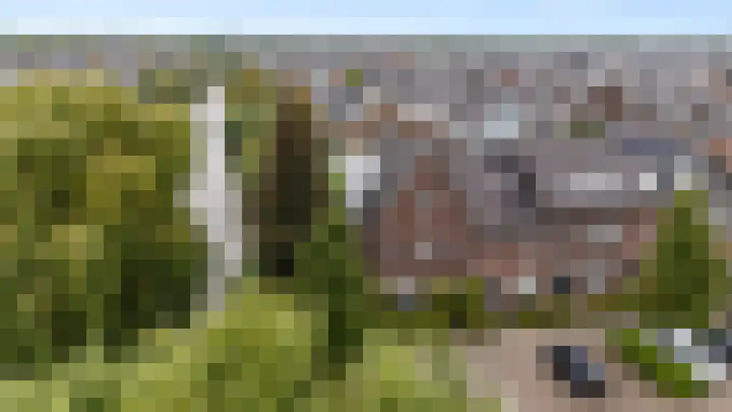 Genthoek 13 Leusden thumbnail 38