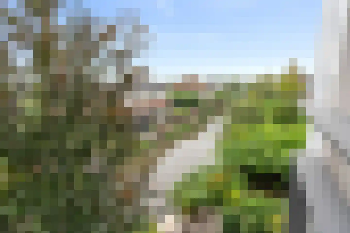 Genthoek 13 Leusden thumbnail 39