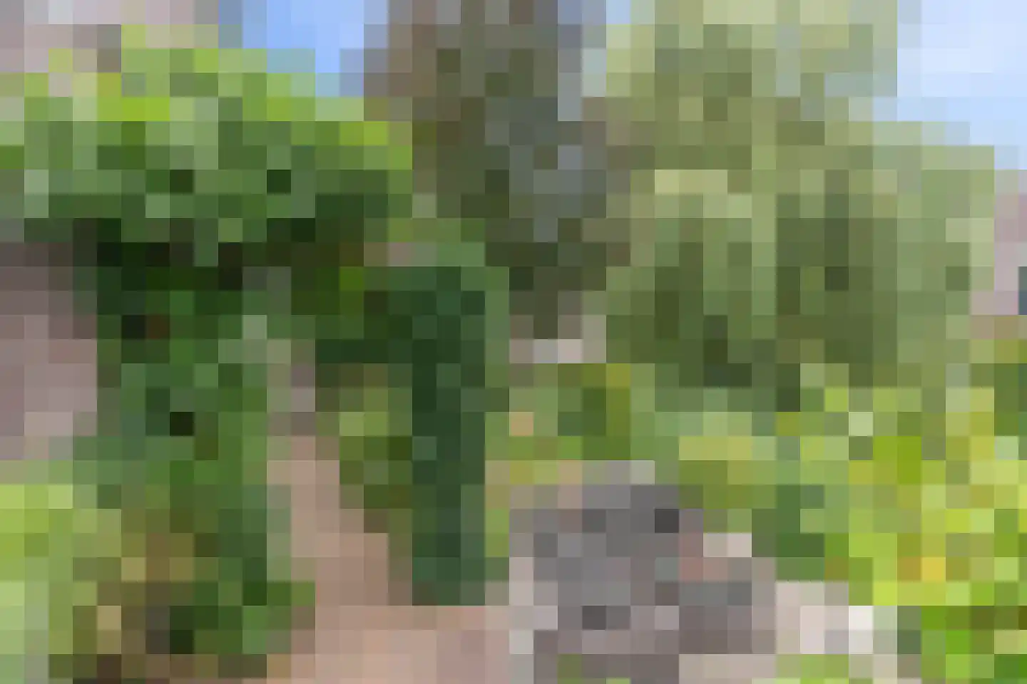 Genthoek 13 Leusden thumbnail 5