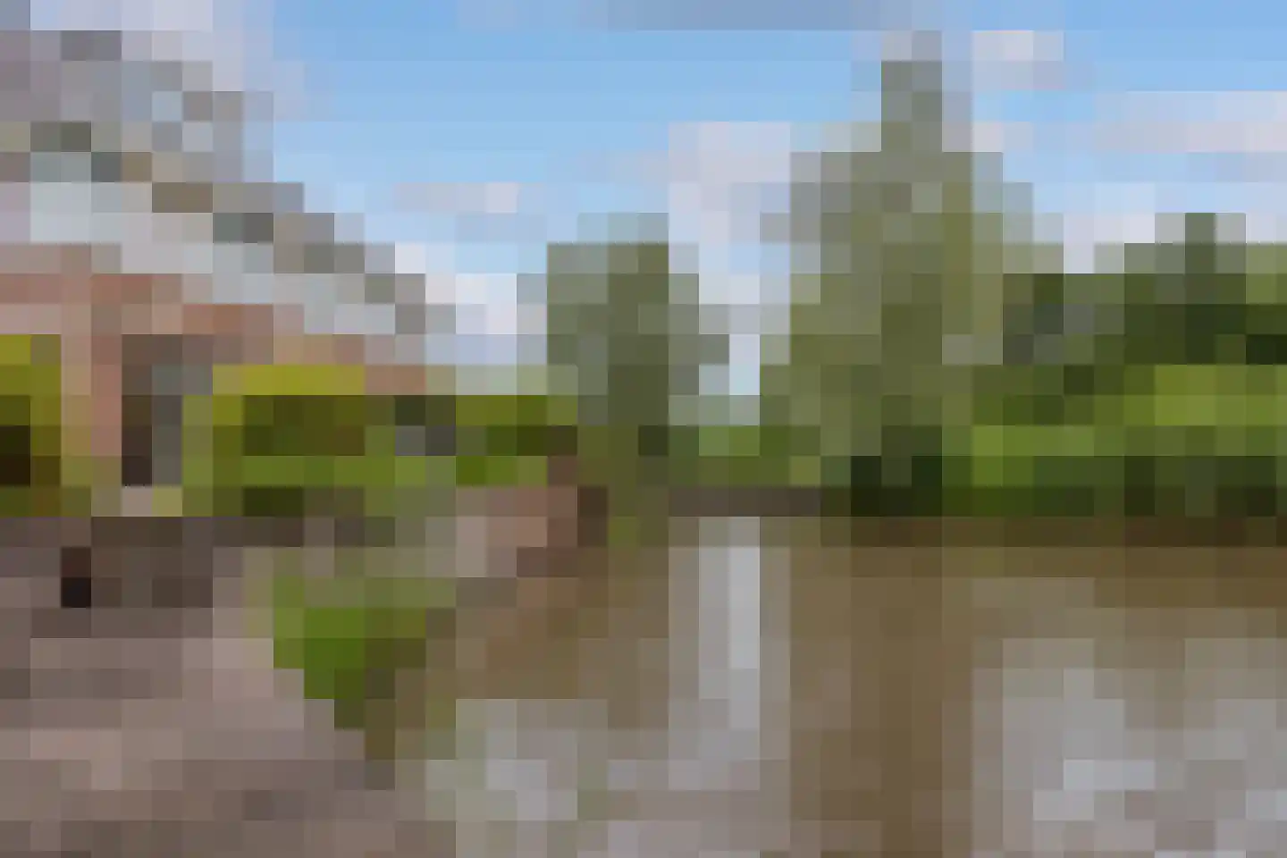 Genthoek 20 Leusden thumbnail 41