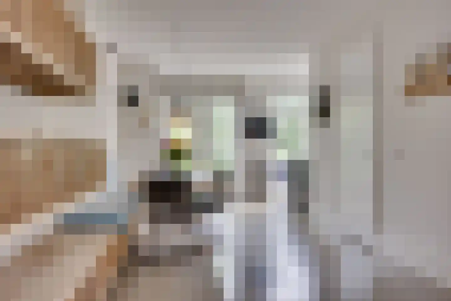 Genthoek 20 Leusden thumbnail 9