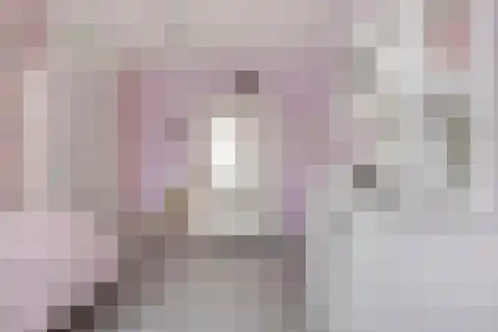 Genthoek 39 Leusden thumbnail 24
