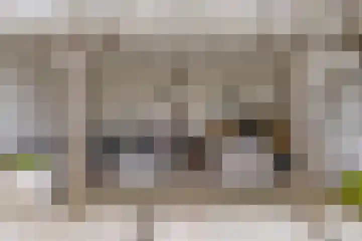 Genthoek 39 Leusden thumbnail 32