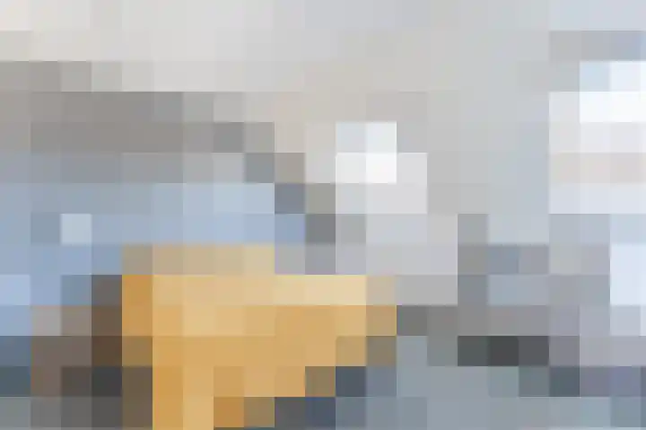 Genthoek 4 Leusden thumbnail 16
