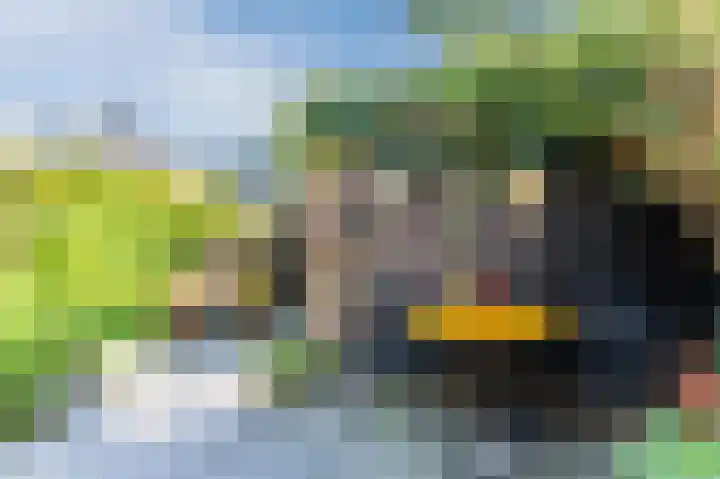 Genthoek 4 Leusden thumbnail 25
