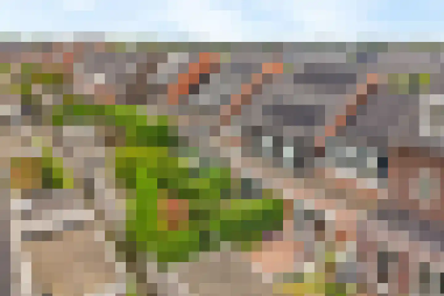 Genthoek 47 Leusden thumbnail 28