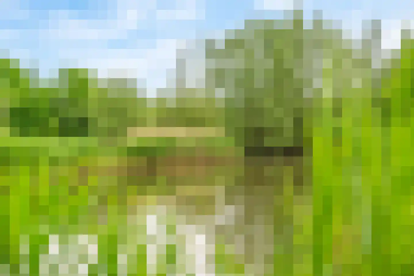 Genthoek 47 Leusden thumbnail 34