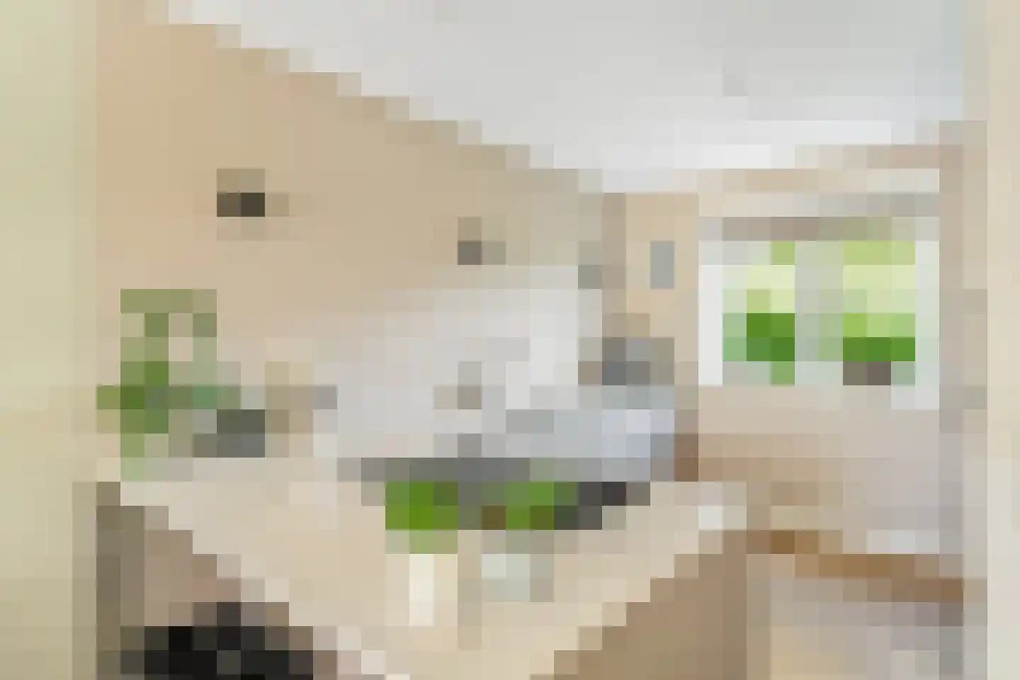 Genthoek 47 Leusden thumbnail 8