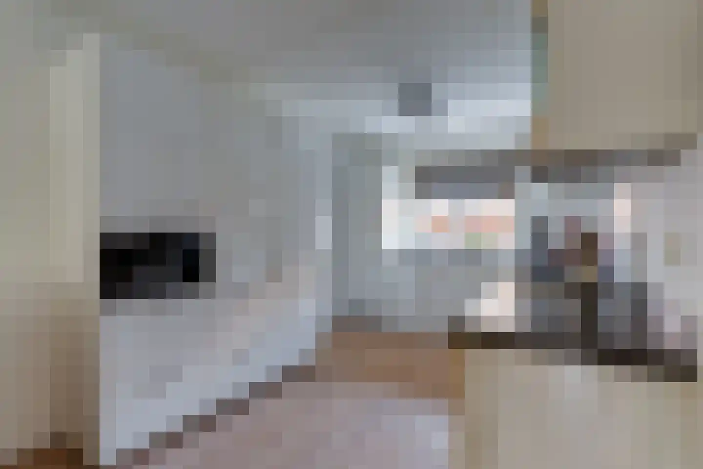 Genthoek 8 Leusden thumbnail 12