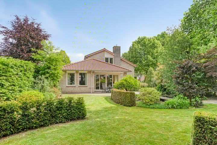 Gentiaan 1 in Haaksbergen foto