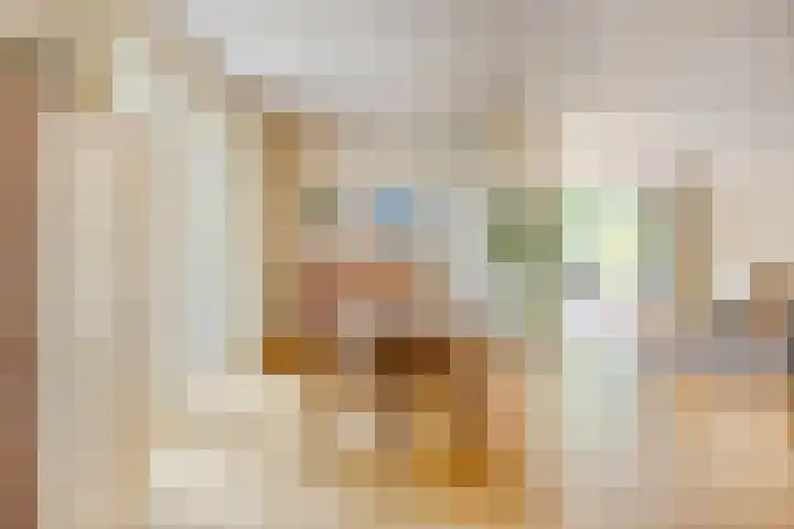 Gentiaan 1 Haaksbergen thumbnail 16