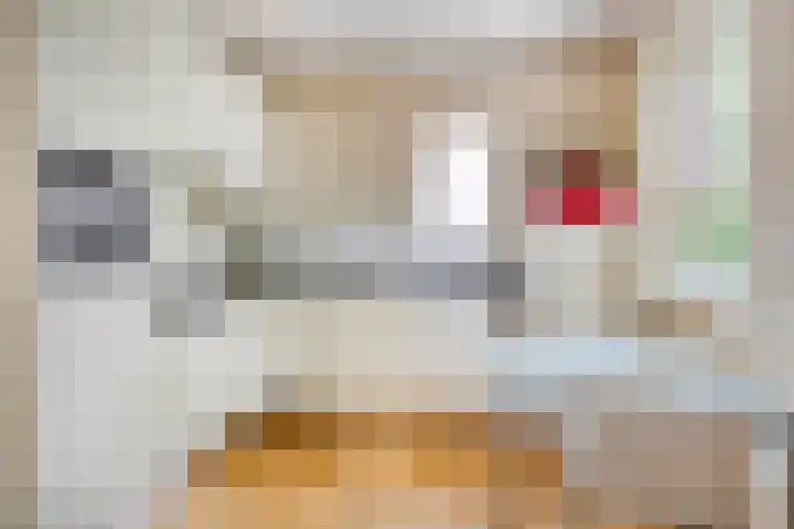 Gentiaan 1 Haaksbergen thumbnail 18