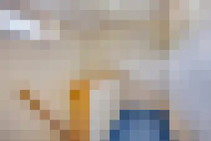 Gentiaan 1 Haaksbergen thumbnail 26