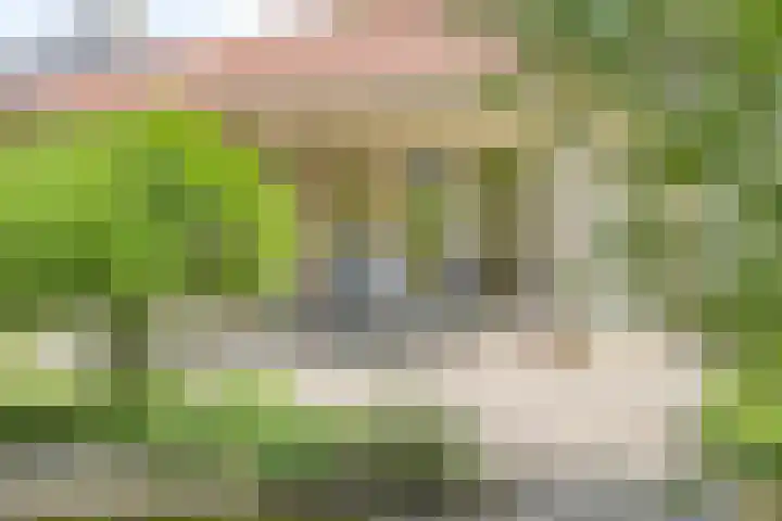 Gentiaan 1 Haaksbergen thumbnail 34