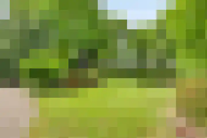 Gentiaan 1 Haaksbergen thumbnail 36
