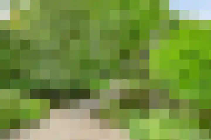 Gentiaan 1 Haaksbergen thumbnail 37