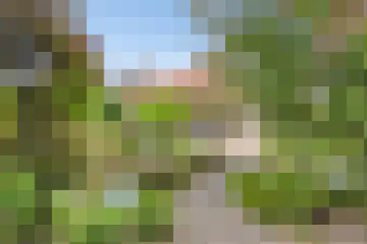 Gentiaan 1 Haaksbergen thumbnail 38