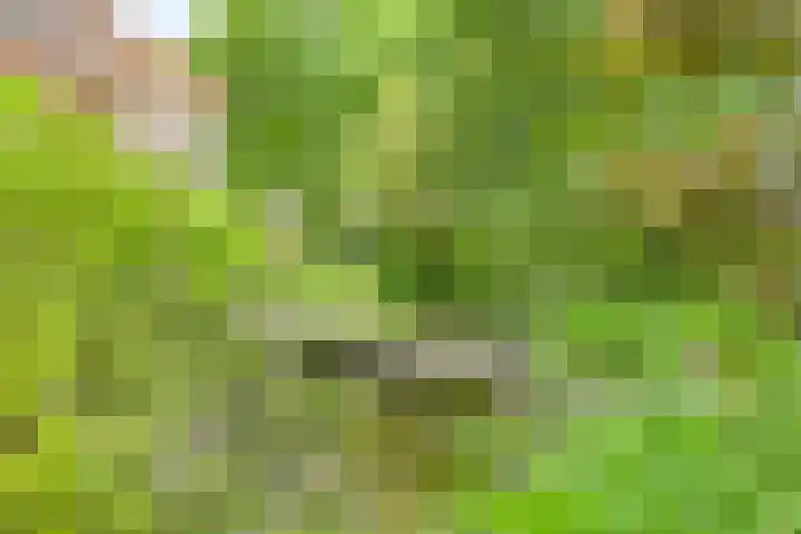 Gentiaan 1 Haaksbergen thumbnail 39