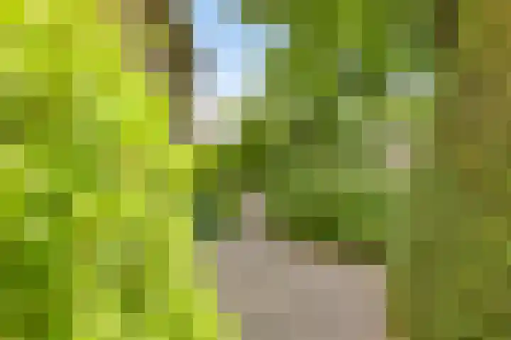 Gentiaan 1 Haaksbergen thumbnail 41