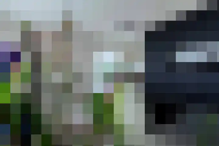 Gentiaan 11 Heerlen thumbnail 10