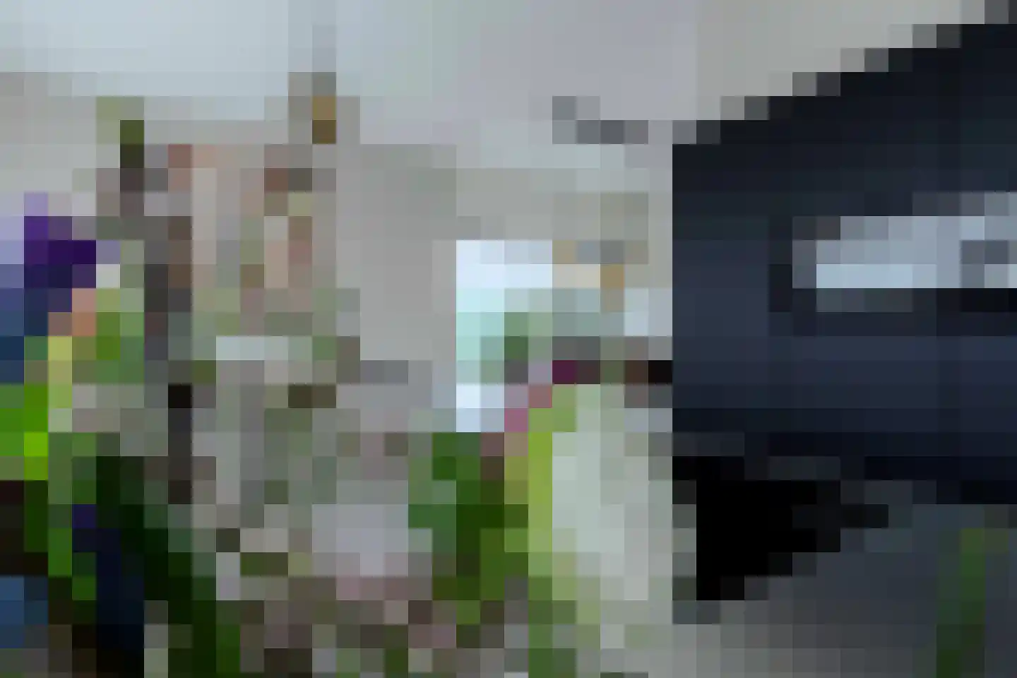 Gentiaan 11 Heerlen thumbnail 11