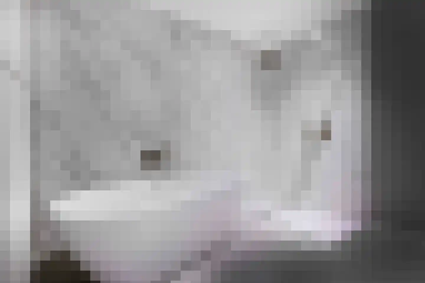 Gentiaan 11 Heerlen thumbnail 30