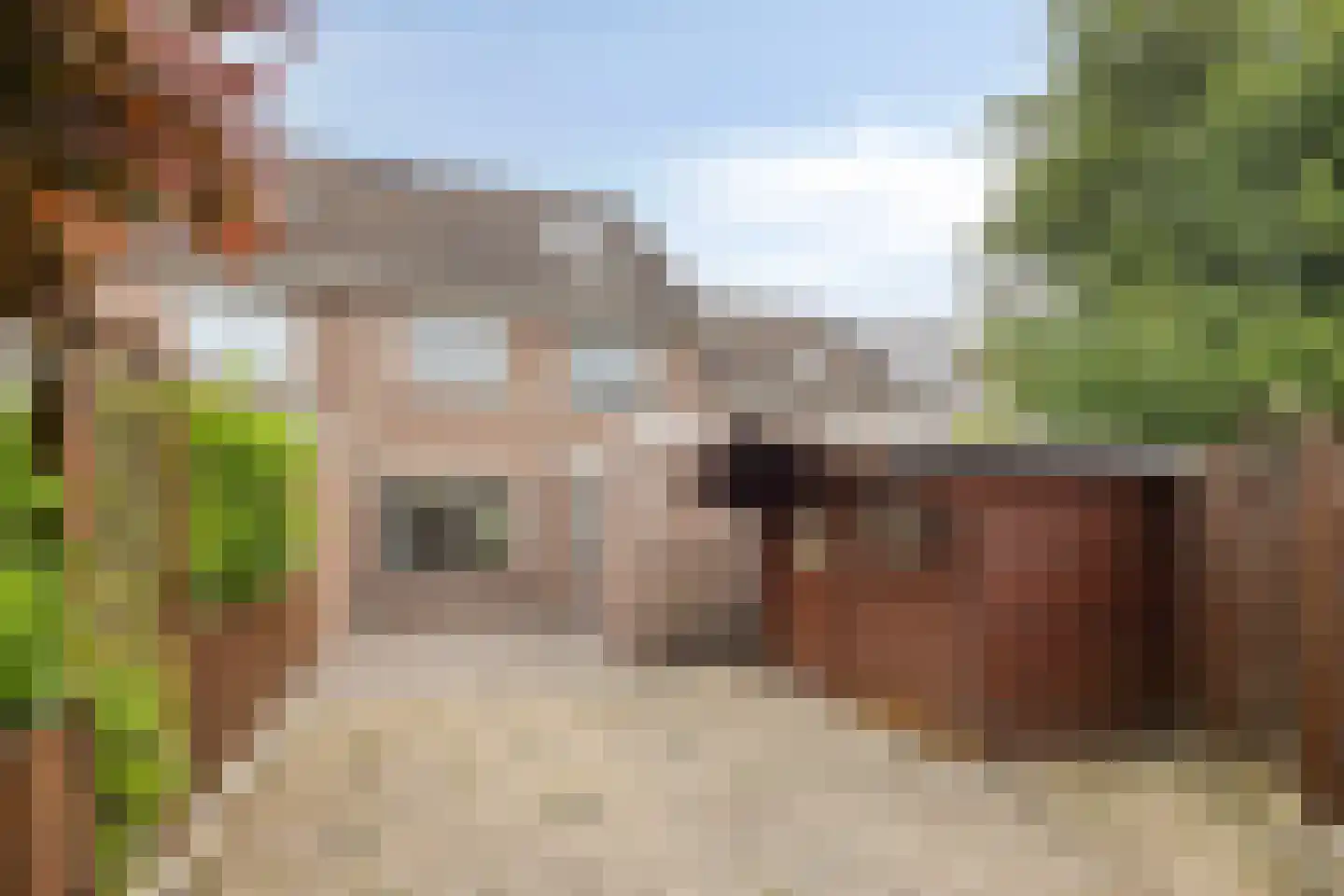 Gentiaan 11 Nijverdal thumbnail 31
