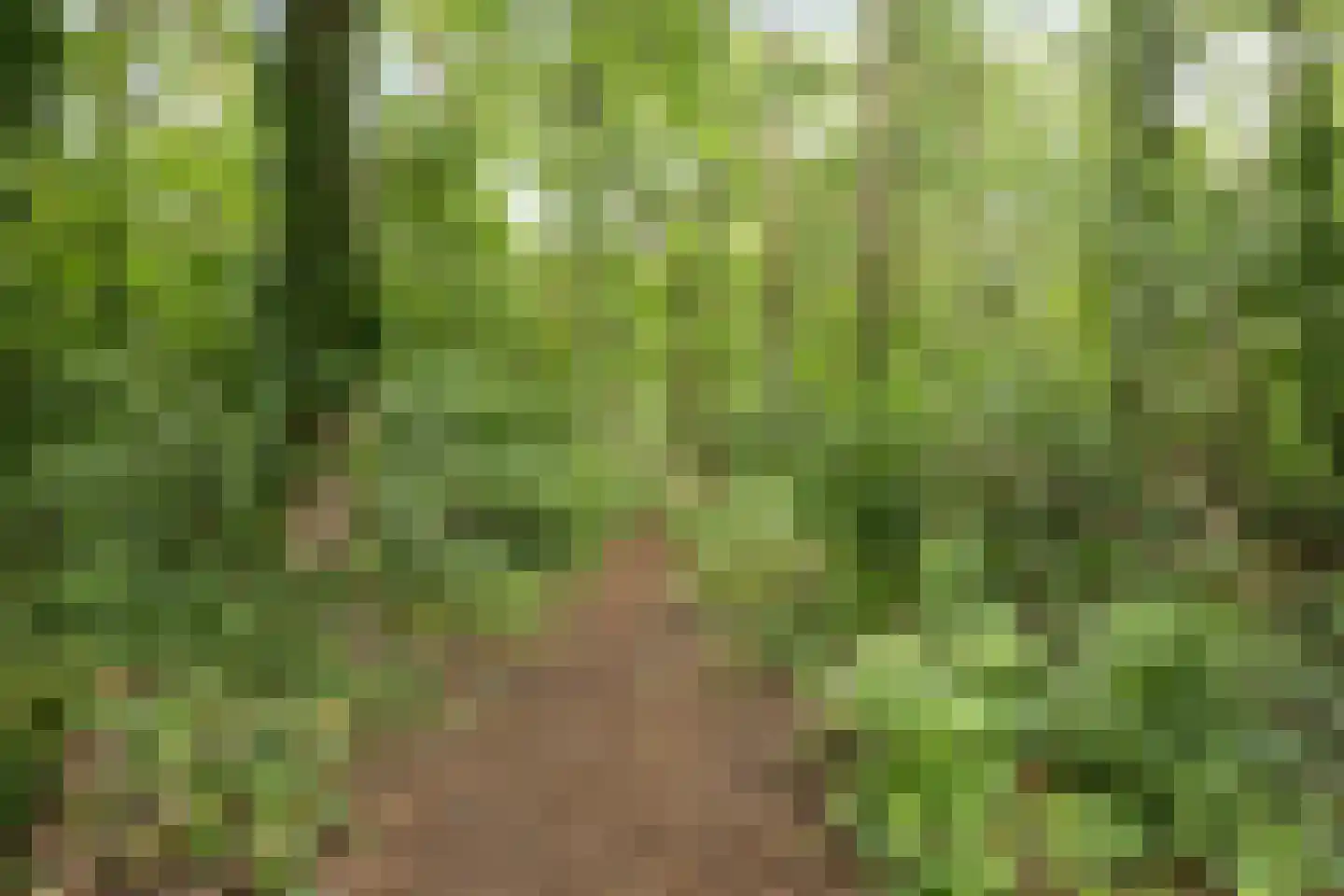 Gentiaan 11 Nijverdal thumbnail 34