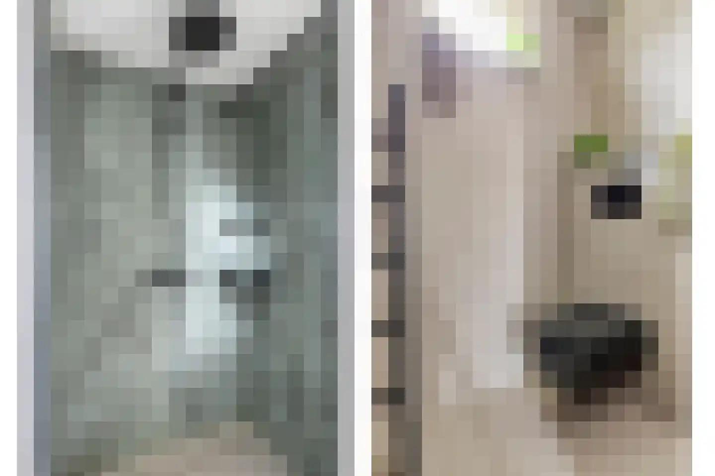 Gentiaan 12 Nootdorp thumbnail 10