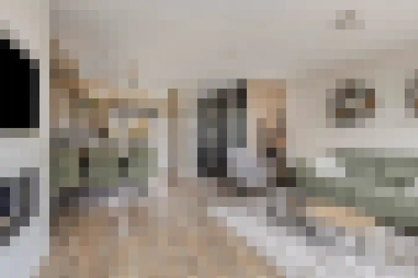 Gentiaan 12 Nootdorp thumbnail 15