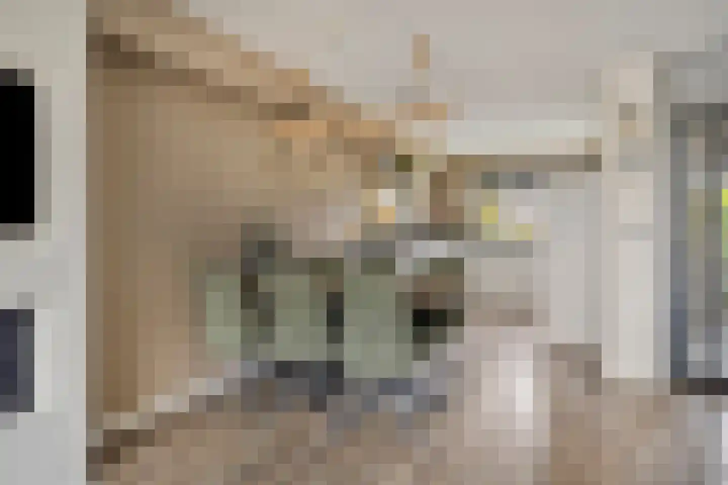 Gentiaan 12 Nootdorp thumbnail 17