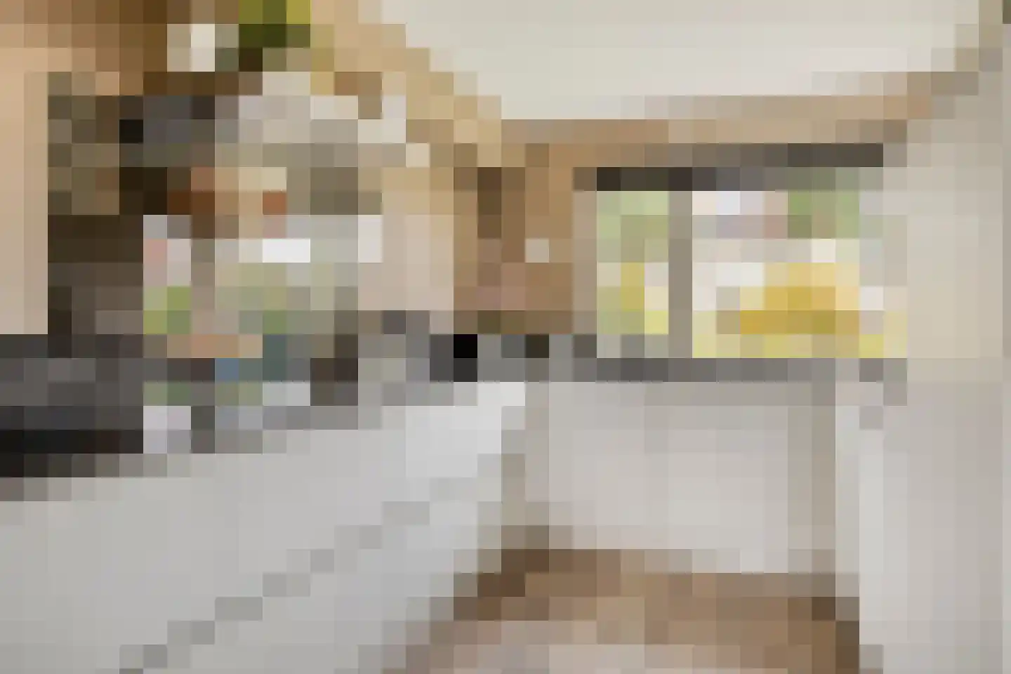 Gentiaan 12 Nootdorp thumbnail 21
