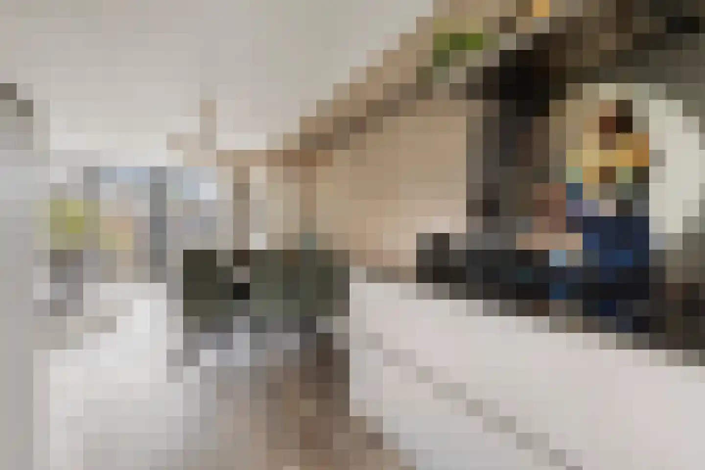 Gentiaan 12 Nootdorp thumbnail 24