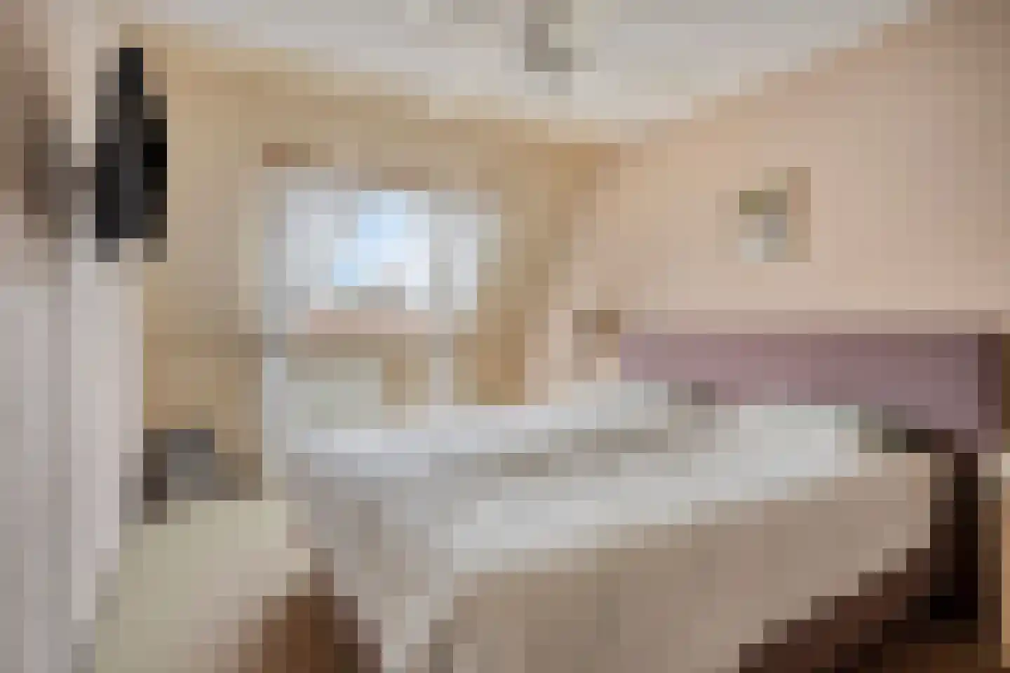 Gentiaan 12 Nootdorp thumbnail 26