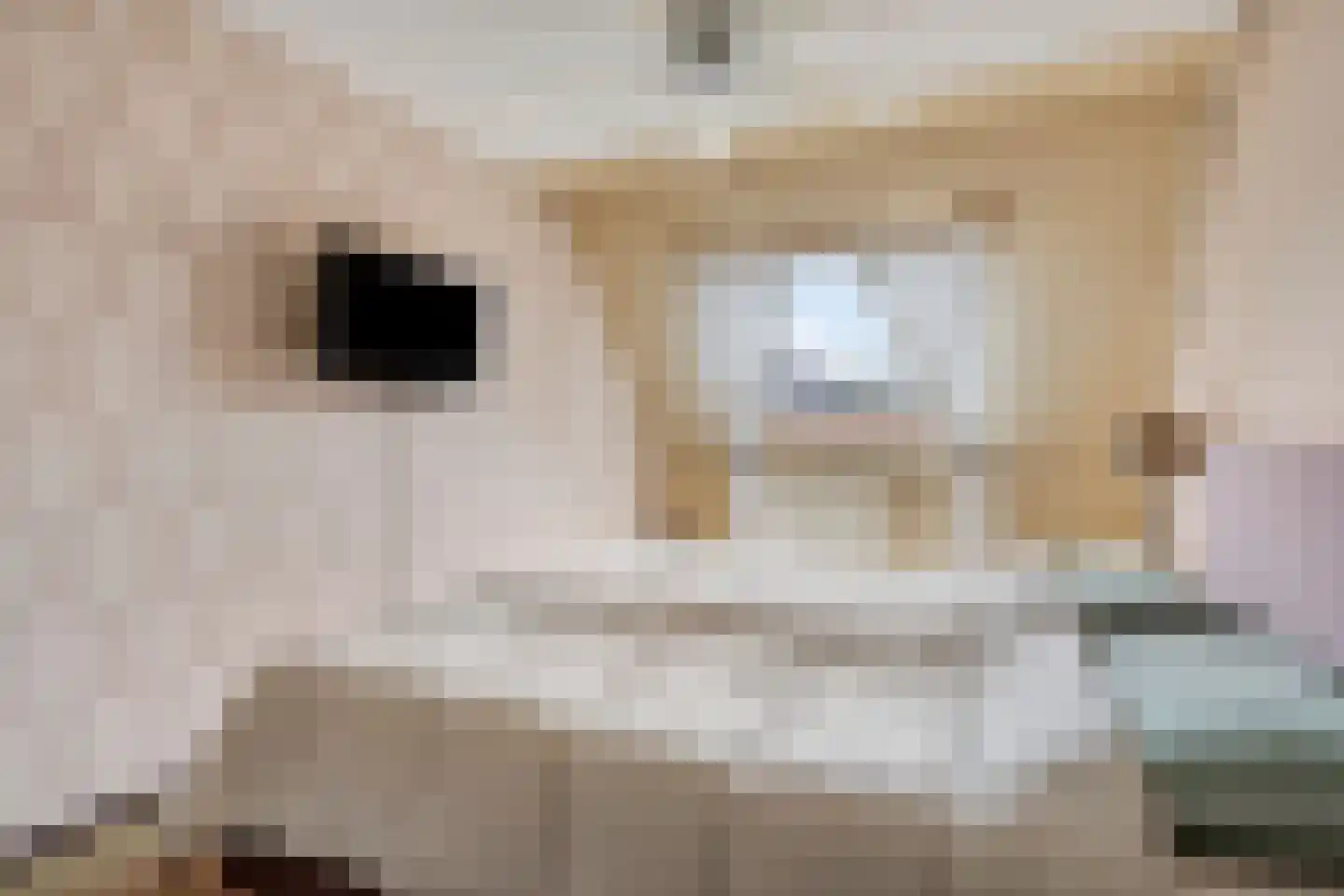 Gentiaan 12 Nootdorp thumbnail 27