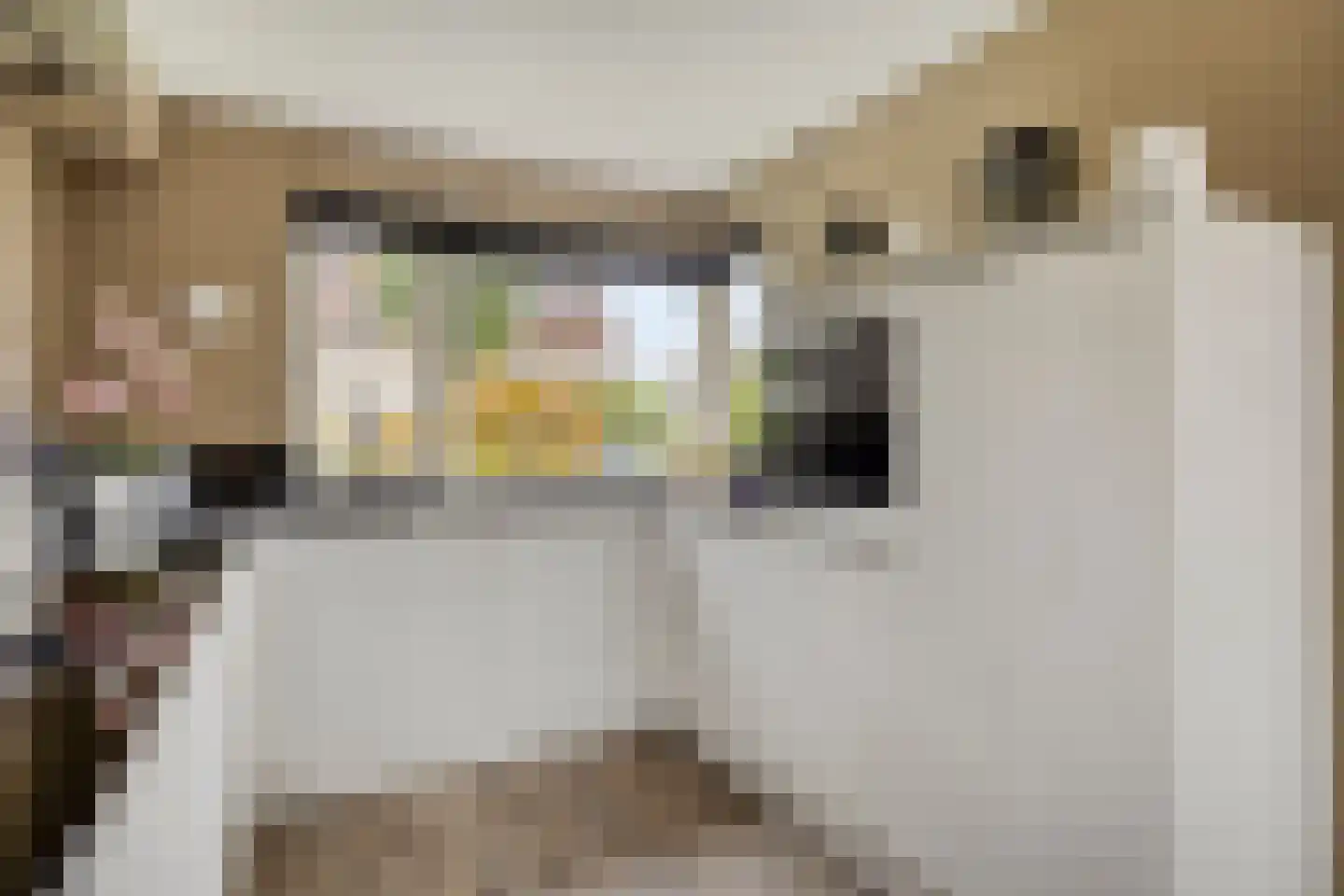Gentiaan 12 Nootdorp thumbnail 5