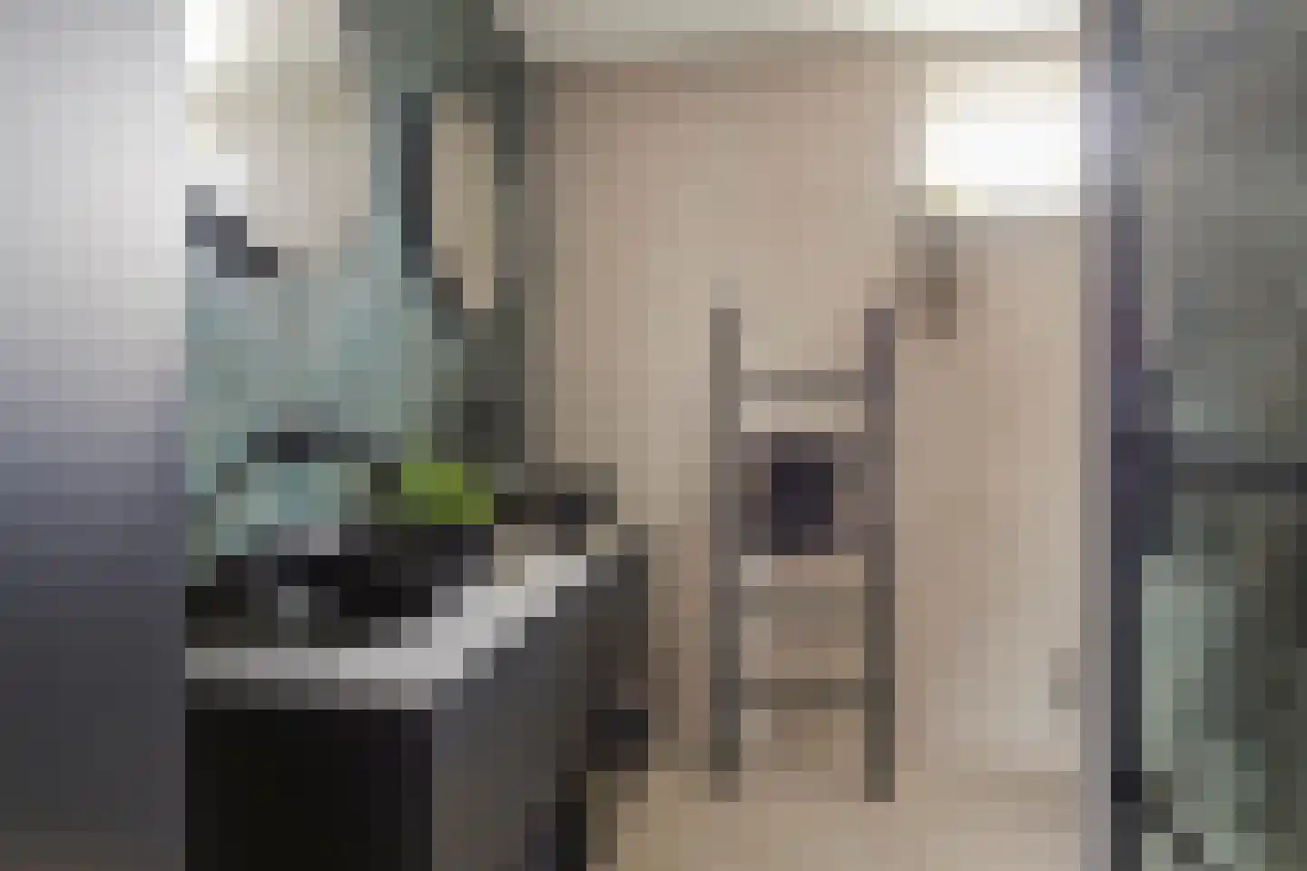 Gentiaan 12 Nootdorp thumbnail 6