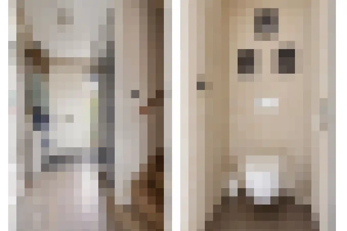 Gentiaan 12 Nootdorp thumbnail 8