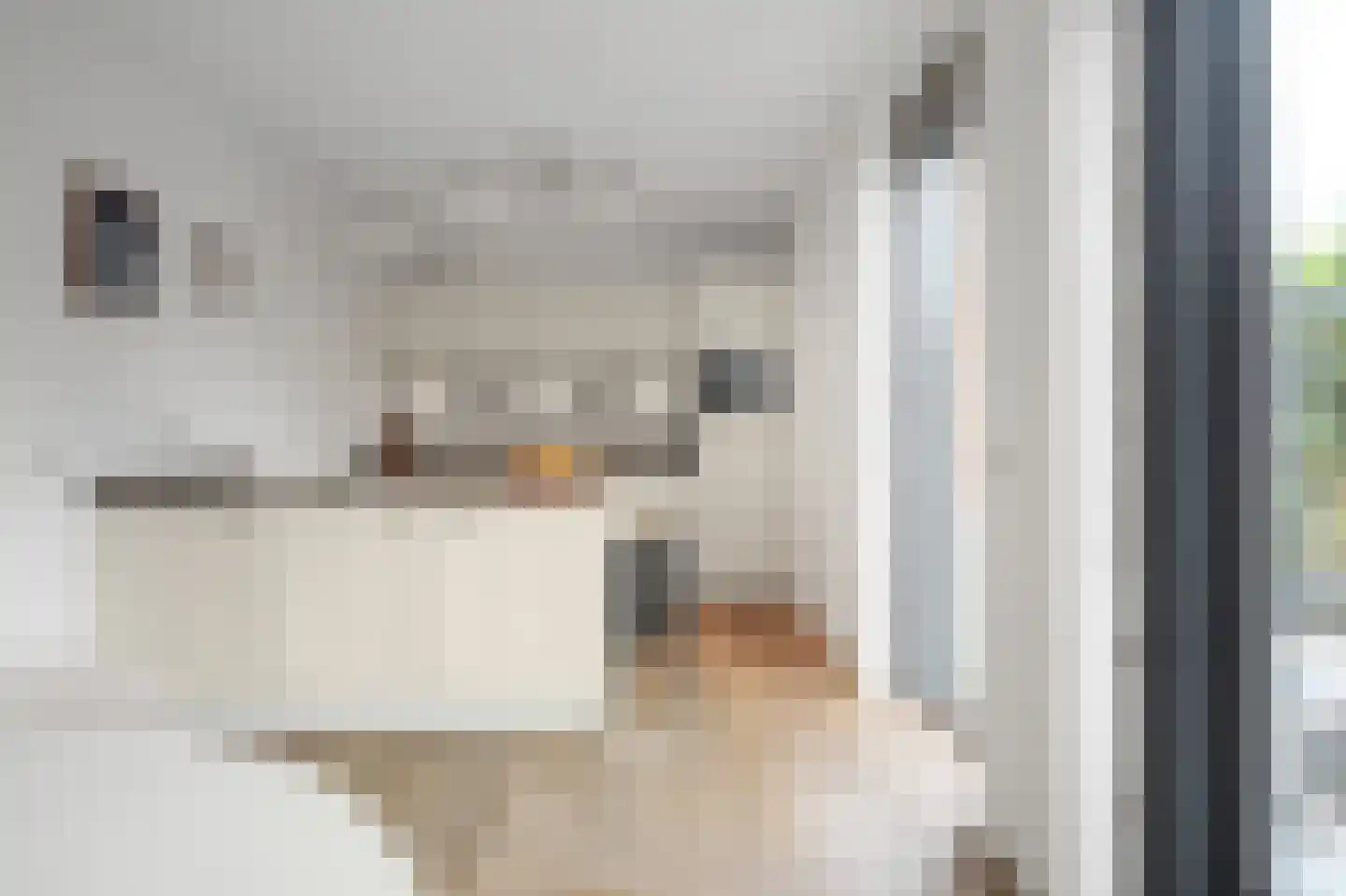 Gentiaan 13 Den Haag thumbnail 11