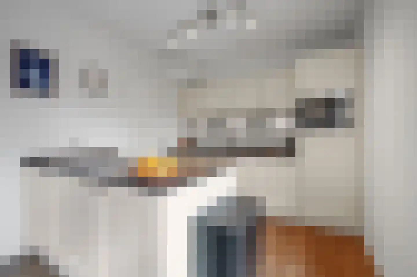Gentiaan 13 Den Haag thumbnail 12