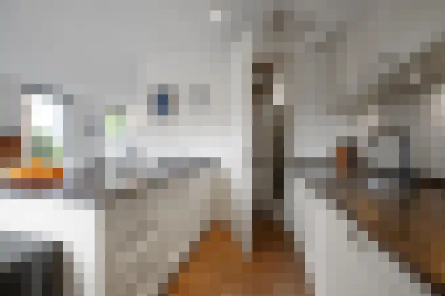 Gentiaan 13 Den Haag thumbnail 13