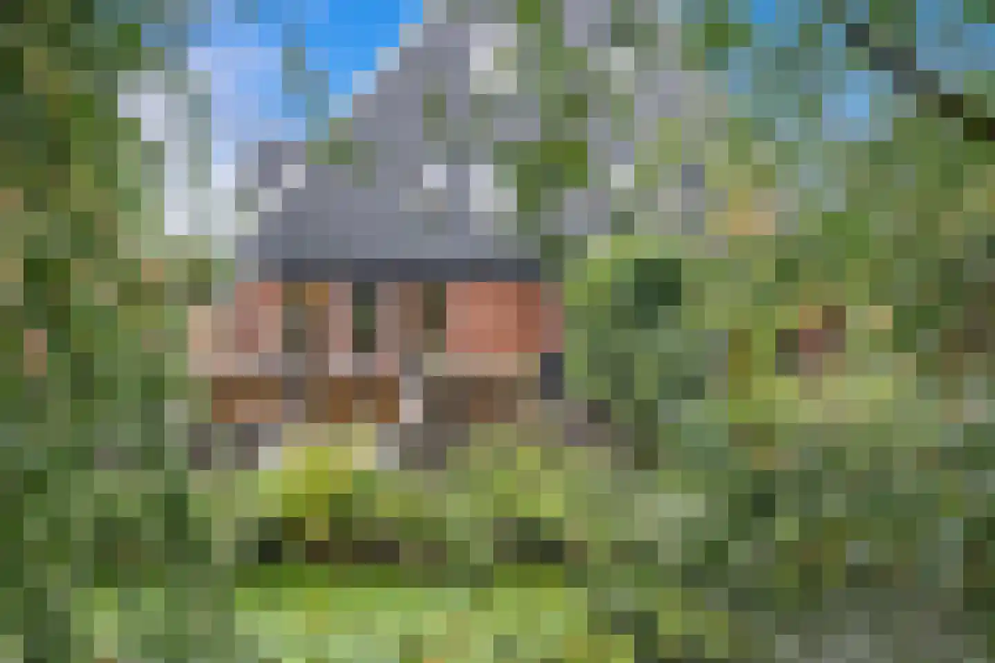 Gentiaan 13 Den Haag thumbnail 21