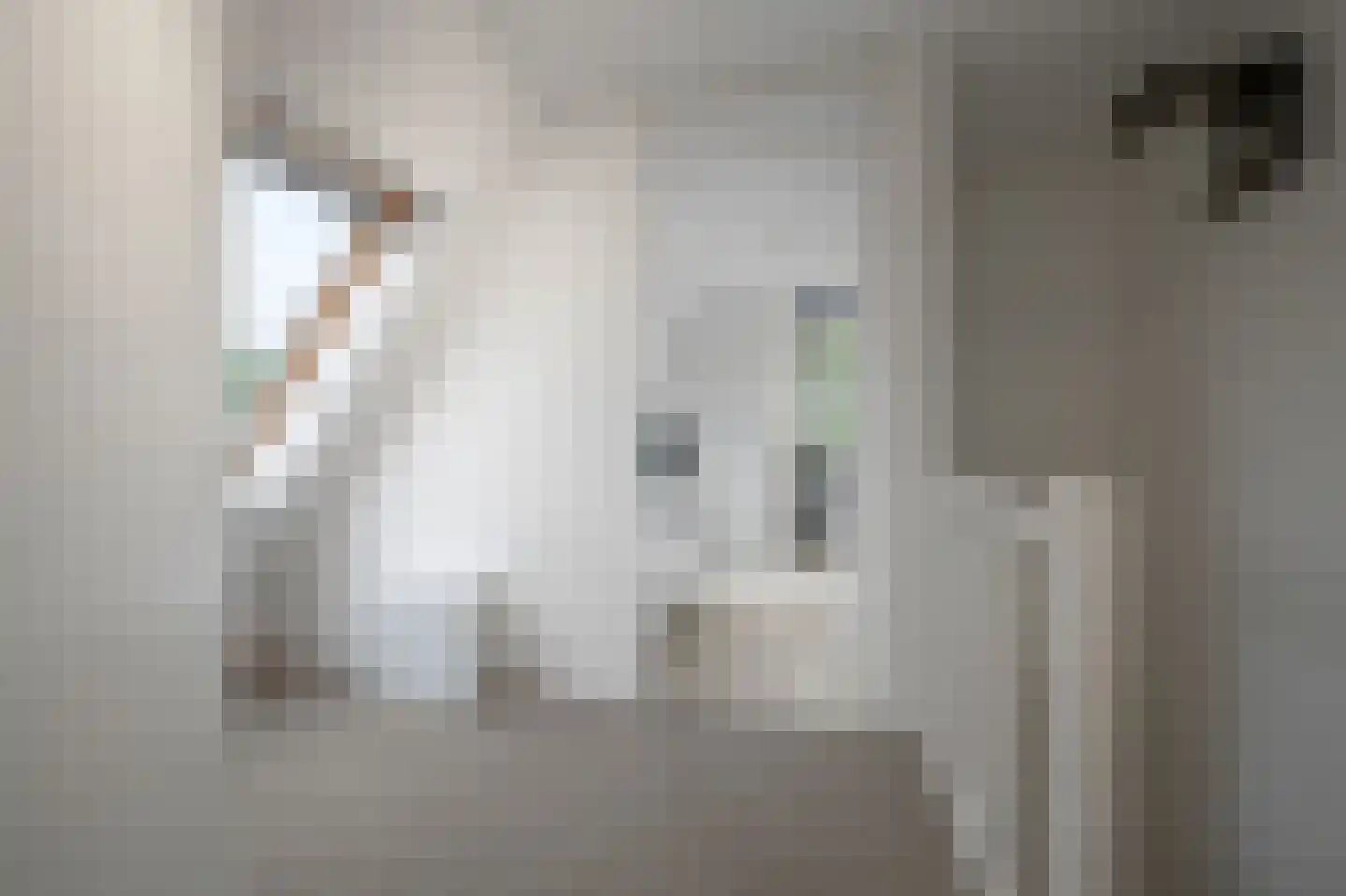 Gentiaan 13 Den Haag thumbnail 35