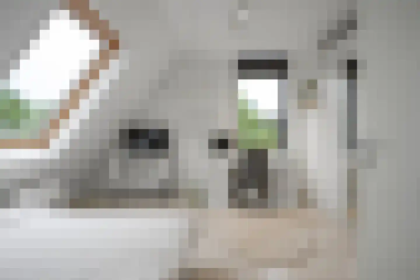 Gentiaan 13 Den Haag thumbnail 37