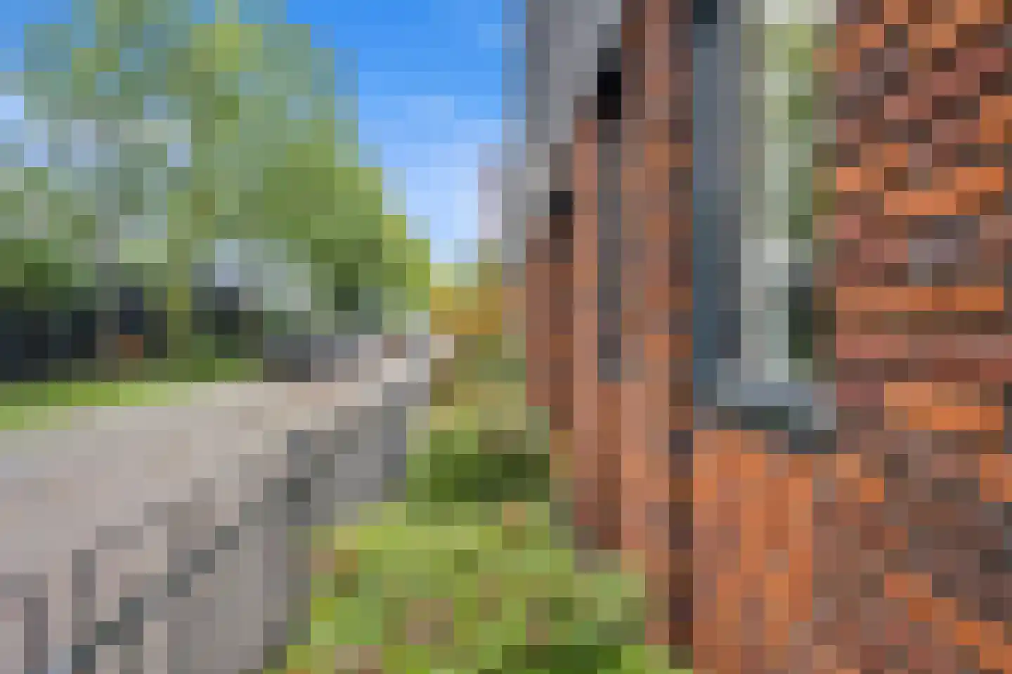 Gentiaan 13 Den Haag thumbnail 4