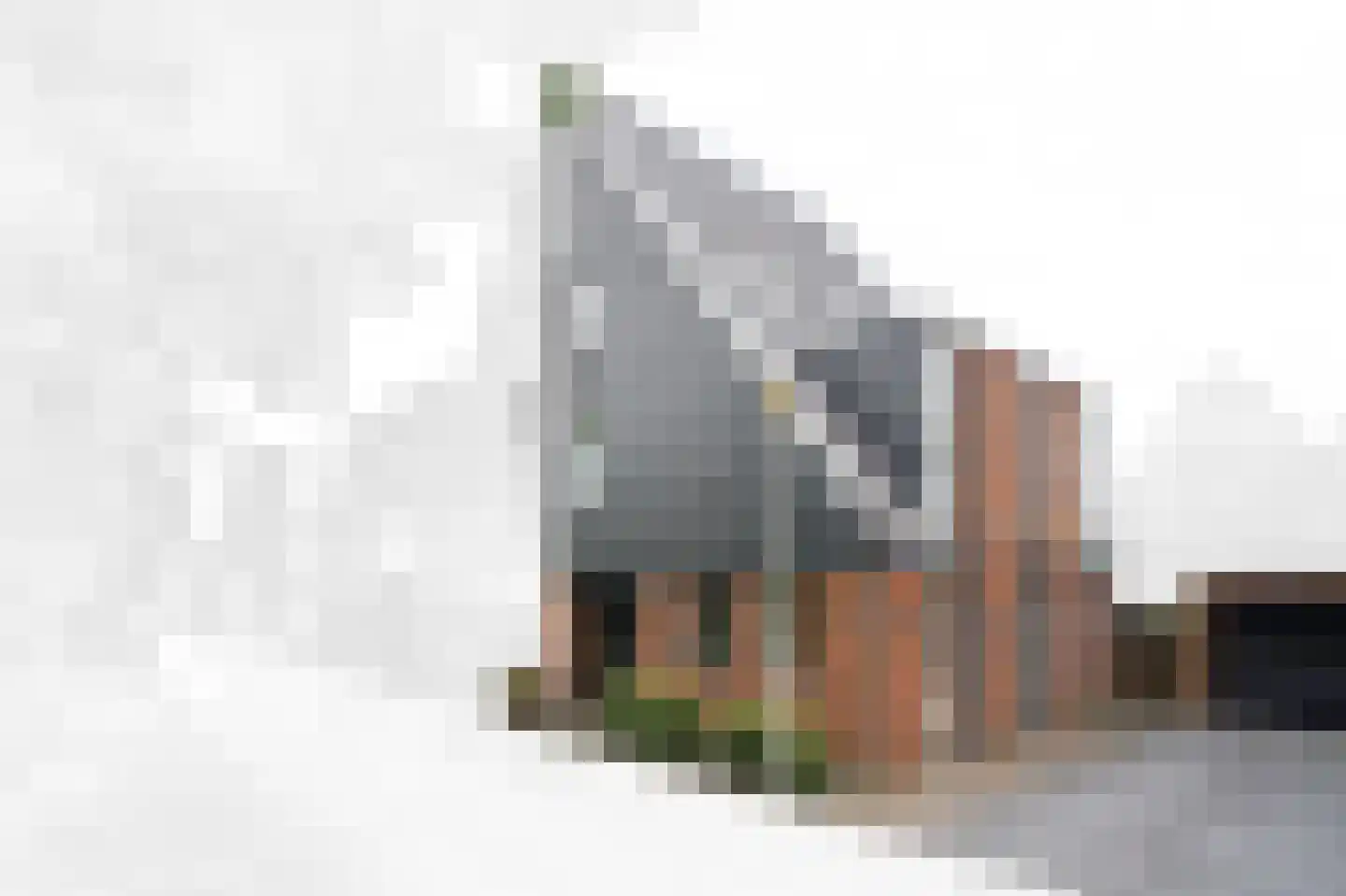 Gentiaan 13 Den Haag thumbnail 46