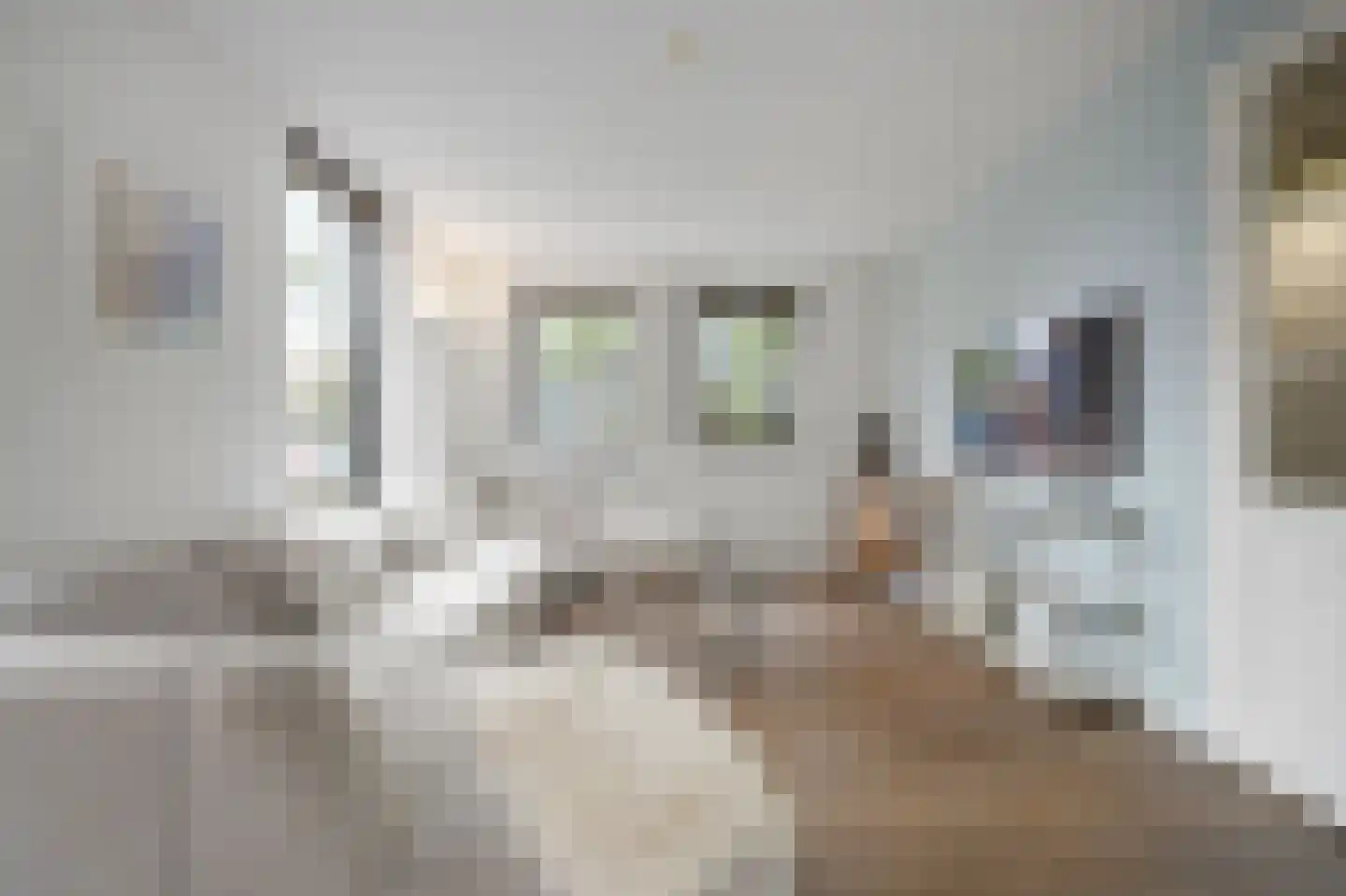Gentiaan 13 Den Haag thumbnail 7