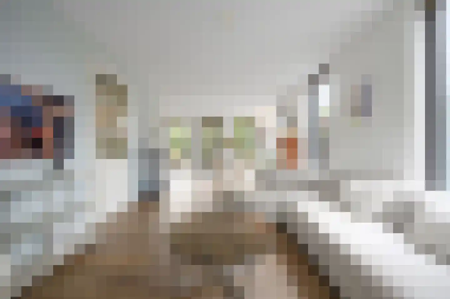 Gentiaan 13 Den Haag thumbnail 8