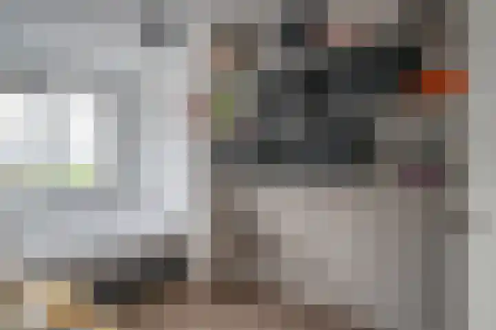 Gentiaan 17 Marknesse thumbnail 19