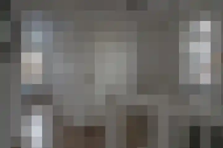 Gentiaan 17 Marknesse thumbnail 21
